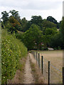 Footpath towards East Bergholt