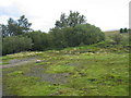 NY6358 : Remains of buildings near Midgeholme by Les Hull