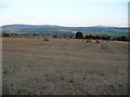 September evening overlooking Corvedale