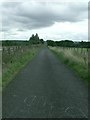 NS6963 : Bredisholm, track to Bargeddie by Robert Murray