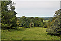 SN5919 : Parkland view - Gelli Aur Country Park by Mick Lobb