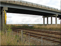 TM4599 : Wherry Line passing under Haddiscoe Bridge by Evelyn Simak