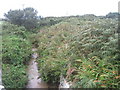 The Porthglaze Cove stream