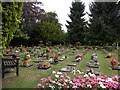 Part of Hoddesdon Cemetery