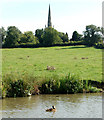 Braunston church from the Oxford Canal