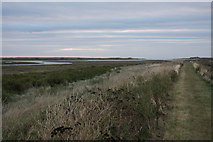 TF8345 : Sea wall around Norton marsh by Hugh Venables
