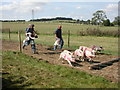 Damerham, pig race