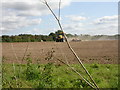 Damerham, seed drilling