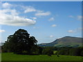 Farmland near Cornhill farm