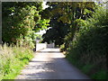 Laneway at Ballyworfy