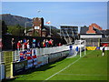 Terracing at Seaview, Belfast