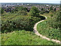 Liquorice Park, Lincoln