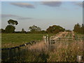 Track near Marehay