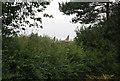 The top of Bournemill Farm Oast house, from the Tunbridge Wells Circular Path