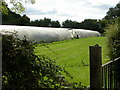 SU1611 : North Gorley, polytunnels by Mike Faherty