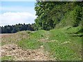 Bridleway near Winterborne Clenston