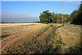 Ditch beside Calcroft lane