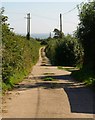 Track to Lower Widdicombe Farm (2)