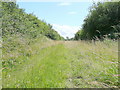 Bridleway from Northwick Warth