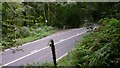 SU8925 : Footpath reaches A286 near Henley by Shazz