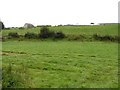 Killymore Townland