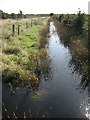 NO5333 : Drainage ditches, Barry Buddon by Richard Webb