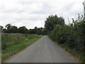 Lane At Ivington Green