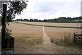 Stour Valley Walk heads to the Blue Downs