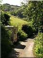 Lane to Lannacombe Beach