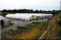 West Country Nurseries near Cranford