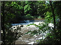 Weir: River Kelvin