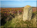 SW3833 : Boundary stone on Carnyorth Common by Rod Allday