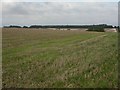 Poundbury, stubble field