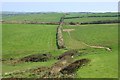 Farmland near High Cliff