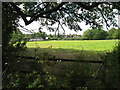 View of Warhams from footpath to the north