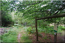 TQ5835 : Deer proof fence by the Tunbridge Wells Circular Path, Eridge Park by N Chadwick