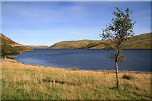 NT1822 : Megget Reservoir by Walter Baxter