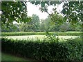 Bowling Green - Baysgarth Park