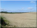 Farmland north of Langmuirhead Road