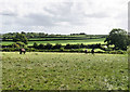 SS4792 : Fields near Weobley Castle by Pierre Terre