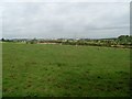 Fields north of North Hill of Dripps