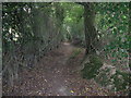 Footpath behind houses on Hayes Lane