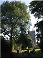 Churchyard, Tedburn St Mary