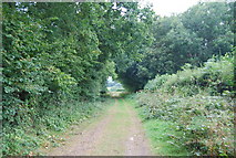 TQ5335 : Tunbridge Wells Circular Path heading to Forge Farm by N Chadwick