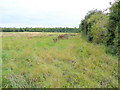 Footpath over rough pasture