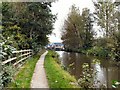 Peak Forest Canal