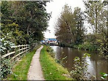 SJ9396 : Peak Forest Canal by Gerald England