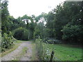 Footpath crossing bridleway near Rapkyns