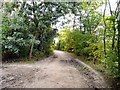 Bridleway to Audenshaw