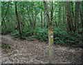 Tunbridge Wells Circular Path Waymarker Toll  Wood